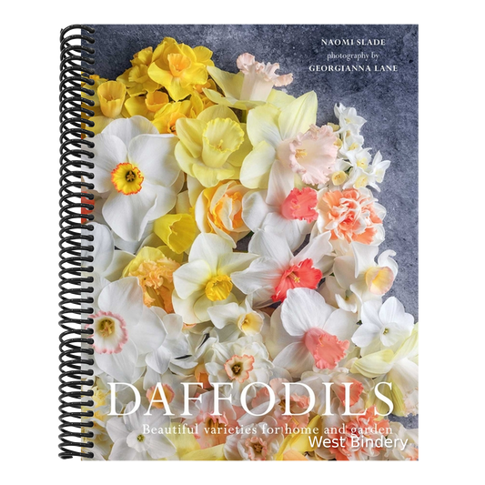 Daffodils: Beautiful Varieties for Home and Garden