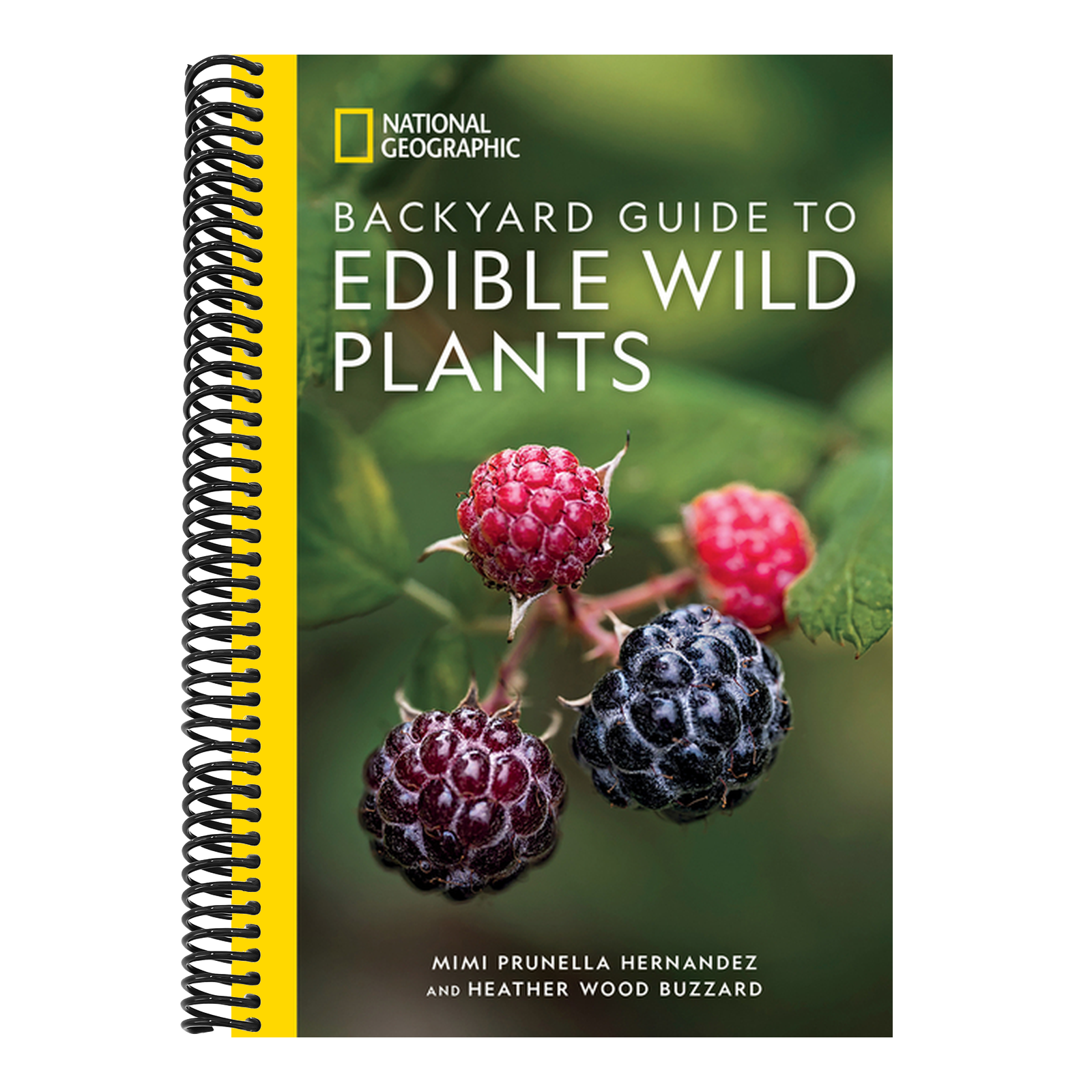National Geographic Backyard Guide to Edible Wild Plants (National Geographic Backyard Guides)