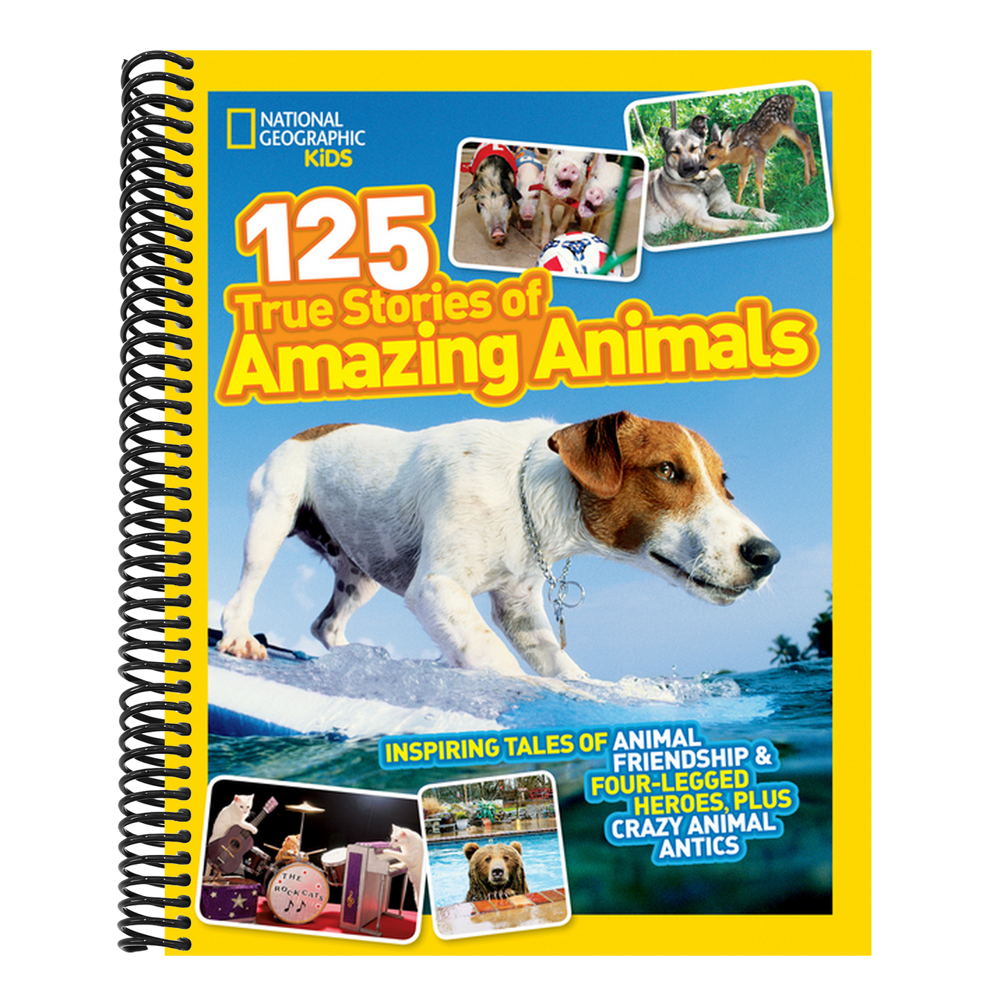National Geographic Kids 125 True Stories of Amazing Animals: Inspiring Tales of Animal Friendship & Four-Legged Heroes, Plus Crazy Animal Antics (National Geographic Kids 125) (Spiral Bound)