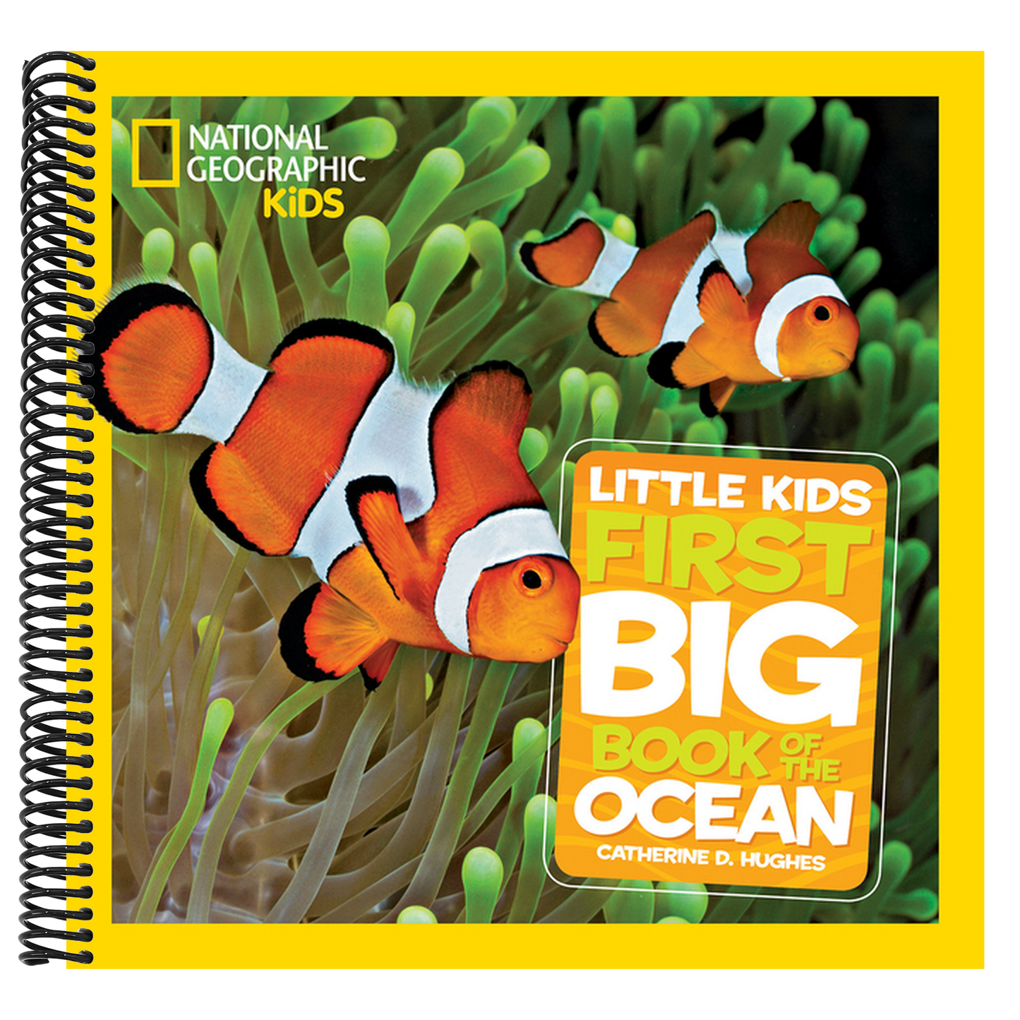 National Geographic Little Kids First Big Book of the Ocean (National Geographic Little Kids First Big Books) (Spiral Bound)