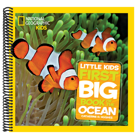 National Geographic Little Kids First Big Book of the Ocean (National Geographic Little Kids First Big Books) (Spiral Bound)