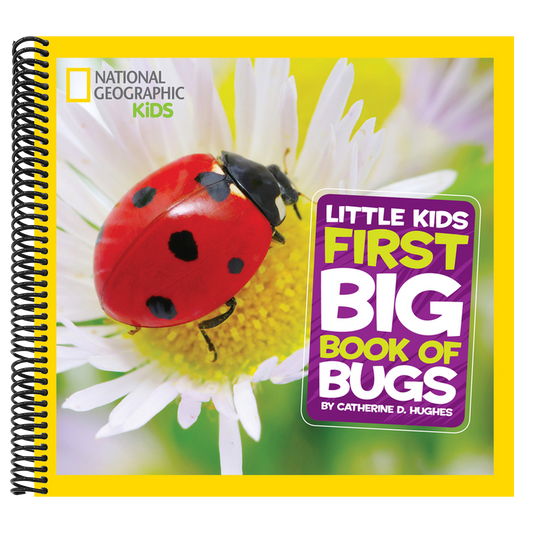 Little Kids First Big Book of Bugs (National Geographic Little Kids First Big Books) (Spiral Bound)