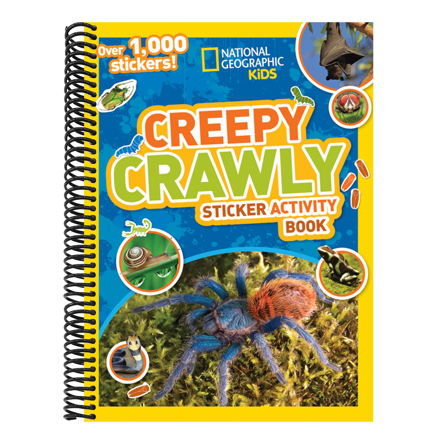 Creepy Crawly Sticker Activity Book: Over 1,000 Stickers! (Ngk Sticker Activity Books) (Spiral Bound)