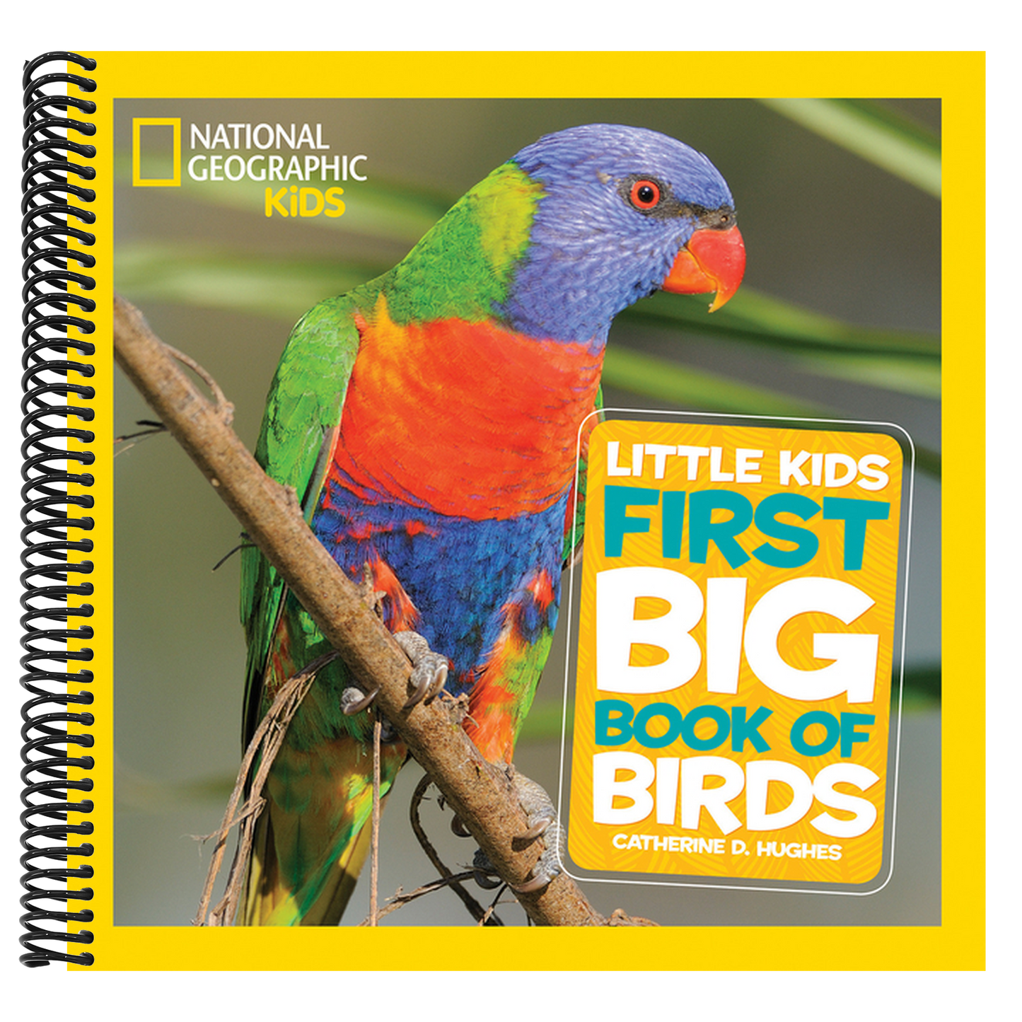 National Geographic Little Kids First Big Book of Birds (National Geographic Little Kids First Big Books) (Spiral Bound)