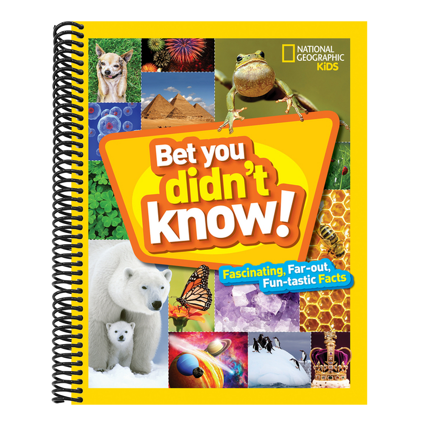Bet You Didn't Know: Fascinating, Far-Out, Fun-Tastic Facts! (Bet You Didn't Know) (Spiral Bound)