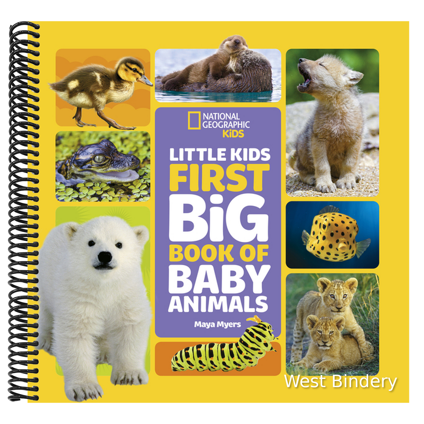 National Geographic Little Kids First Big Book of Baby Animals
