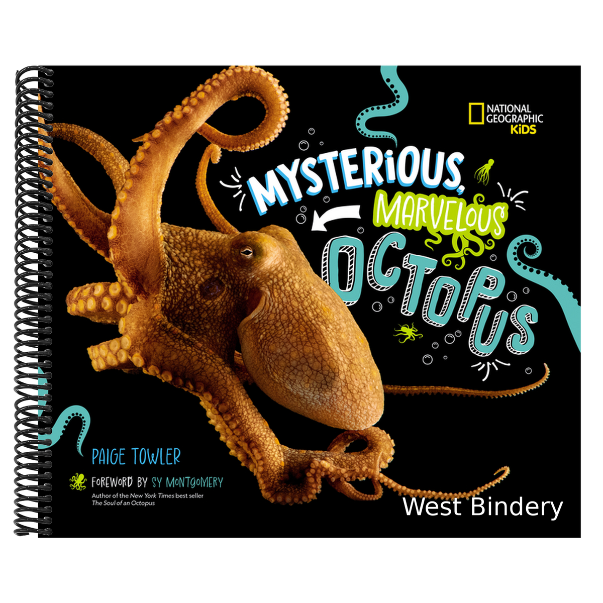 Mysterious, Marvelous Octopus!