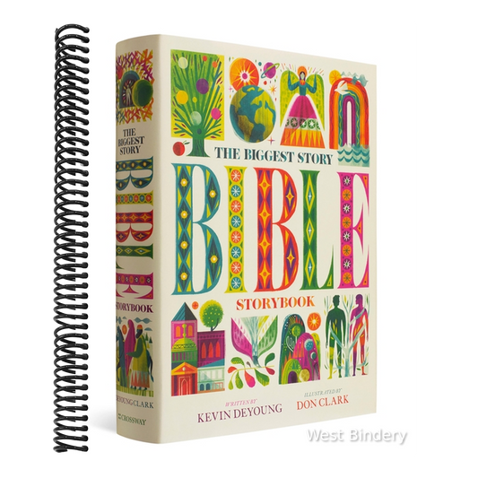 The Biggest Story Bible Storybook