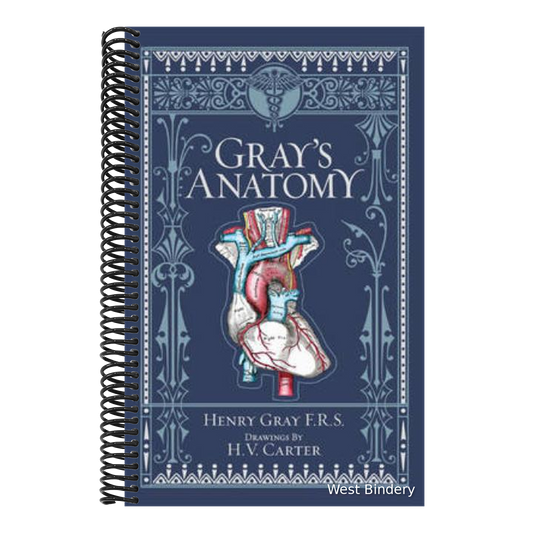 Gray's Anatomy