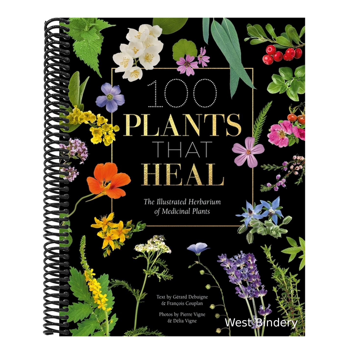 100 Plants That Heal: The Illustrated Herbarium of Medicinal Plants