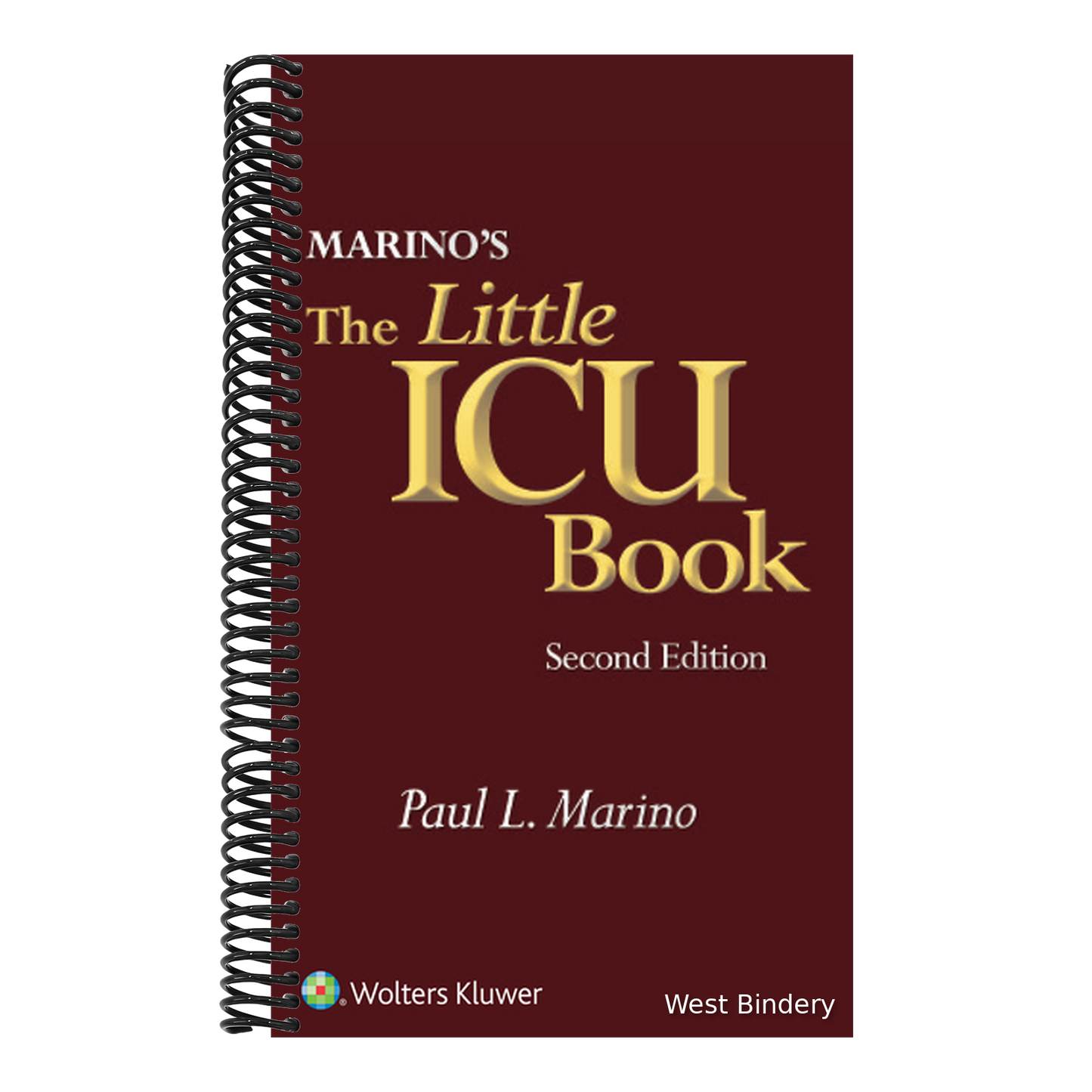 Marino's the Little ICU Book
