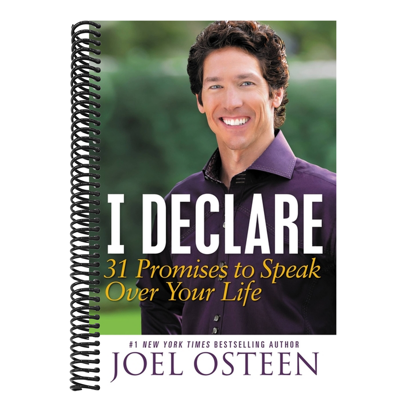 I Declare: 31 Promises to Speak Over Your Life