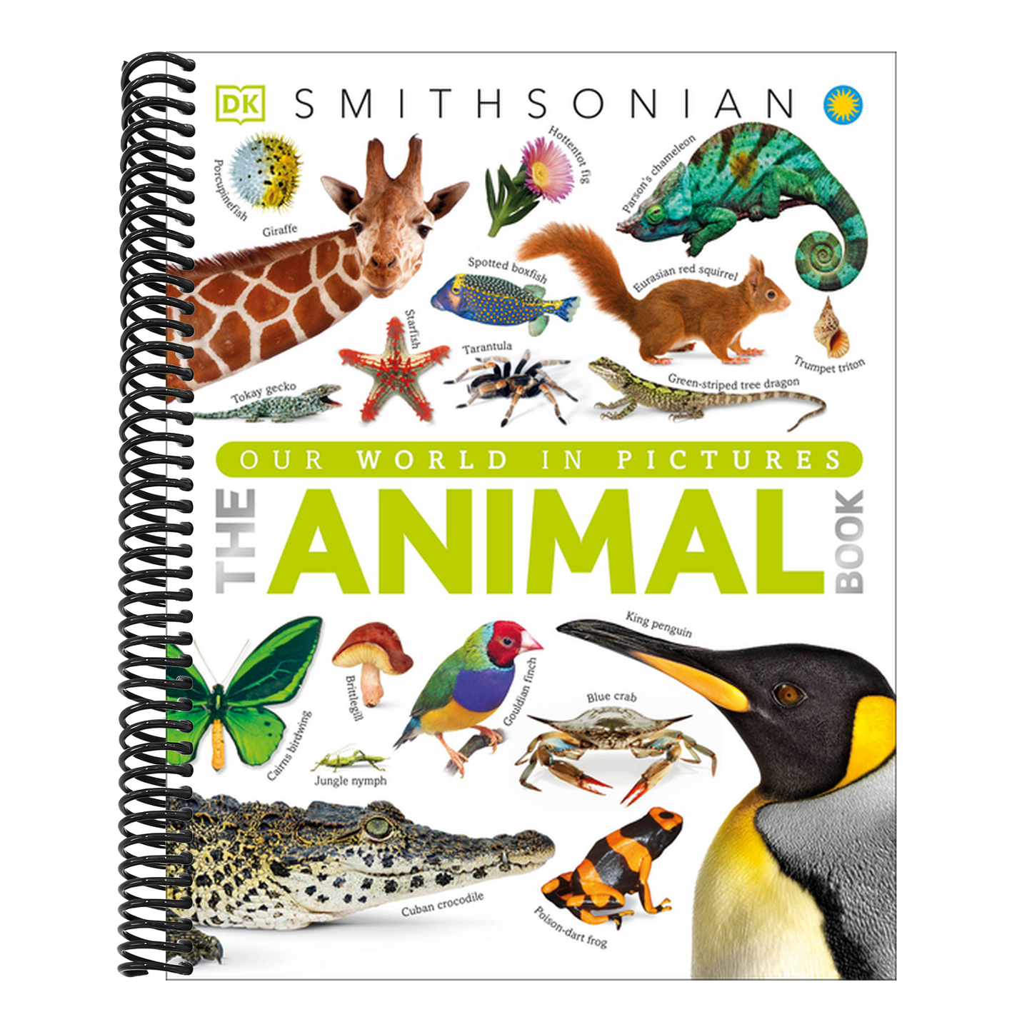 The Animal Book: A Visual Encyclopedia of Life on Earth (Spiral Bound)