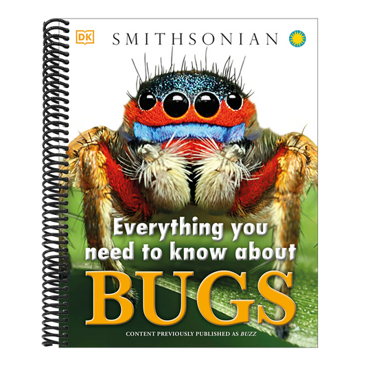 Everything You Need to Know about Bugs (Everything You Need to Know) (Spiral Bound)