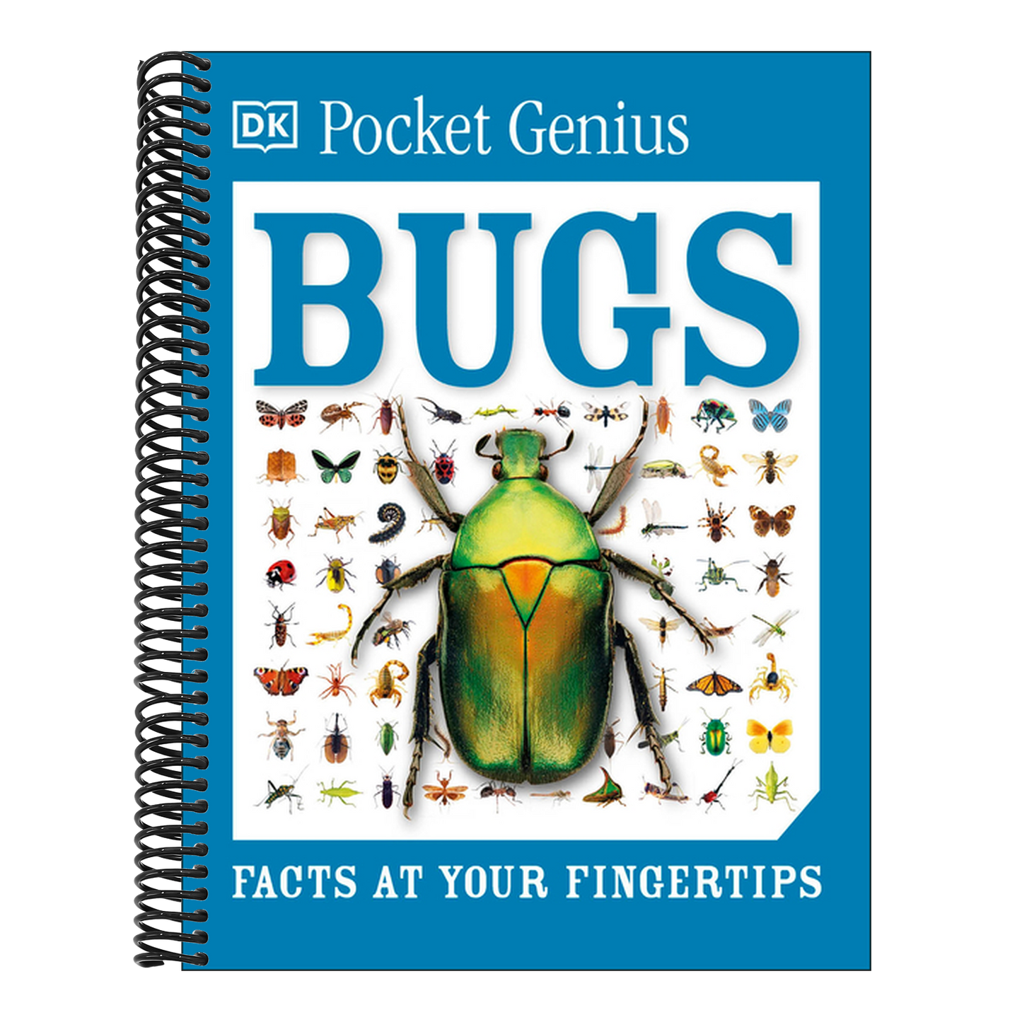 Pocket Genius Bugs: Facts at Your Fingertips (Pocket Genius) (Spiral Bound)