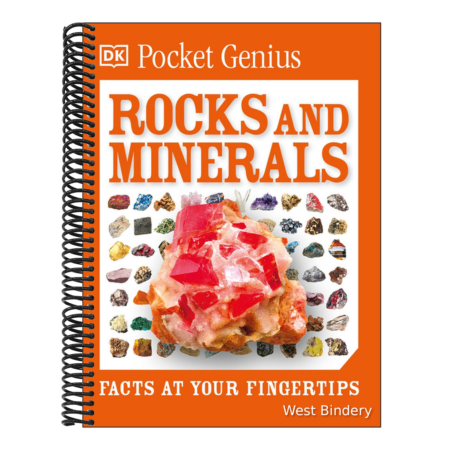 Pocket Genius Rocks and Minerals: Facts at Your Fingertips