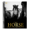 The Horse Encyclopedia (DK Pet Encyclopedias)