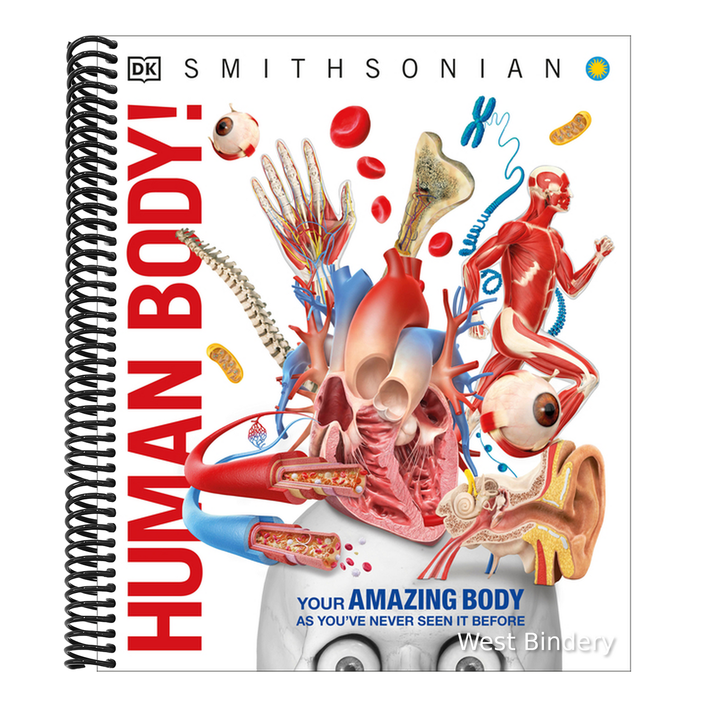 Knowledge Encyclopedia Human Body!