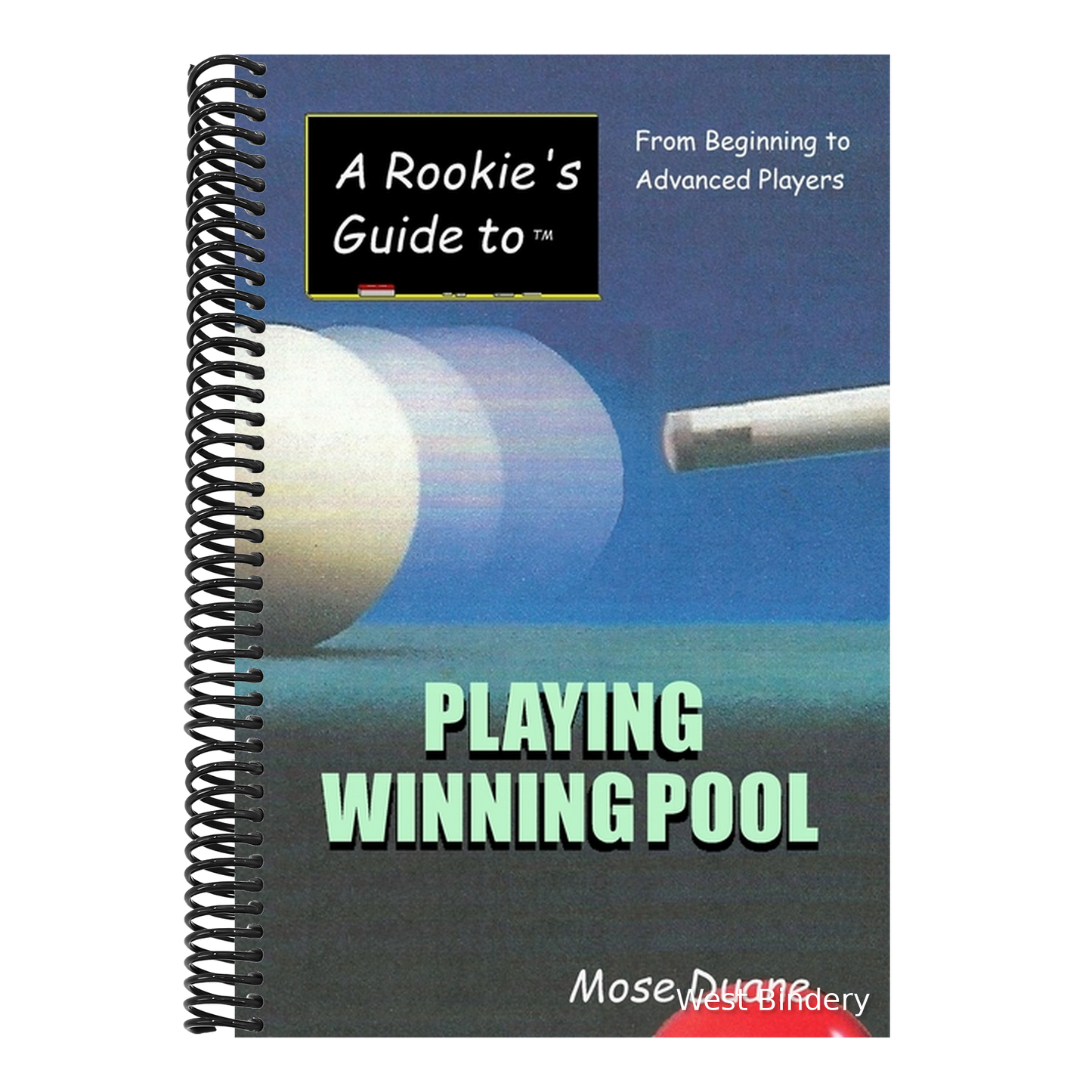 A Rookie's Guide to Playing Winning Pool: From Beginning to Advanced Players