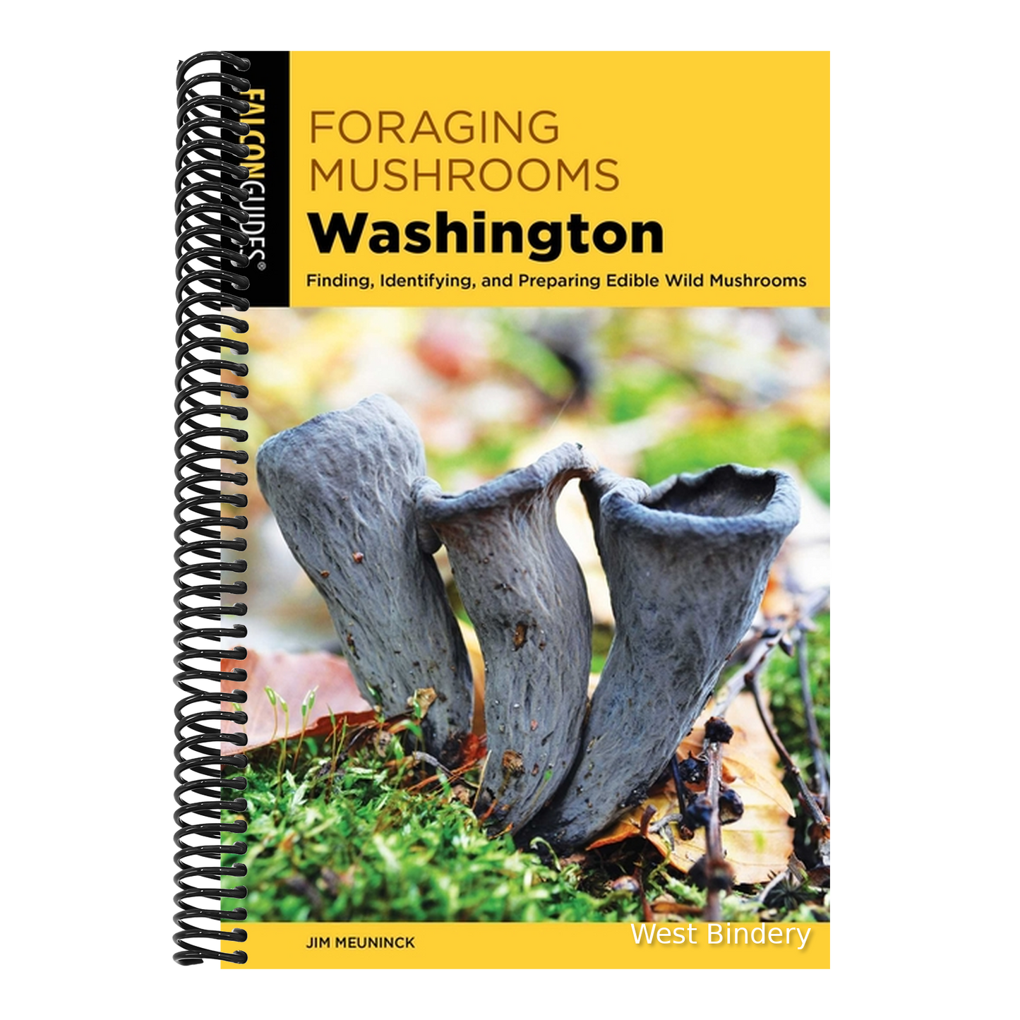 Foraging Mushrooms Washington