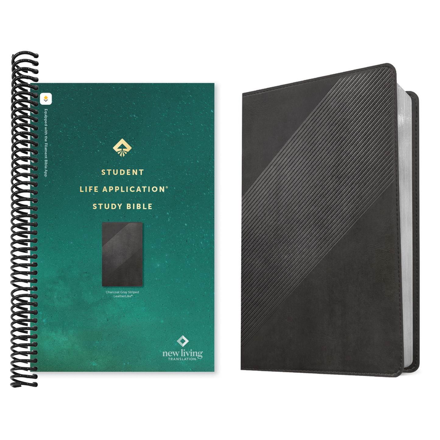 NLT Student Life Application Study Bible, Filament Enabled (Leatherlike, Charcoal Gray Striped, Red Letter)