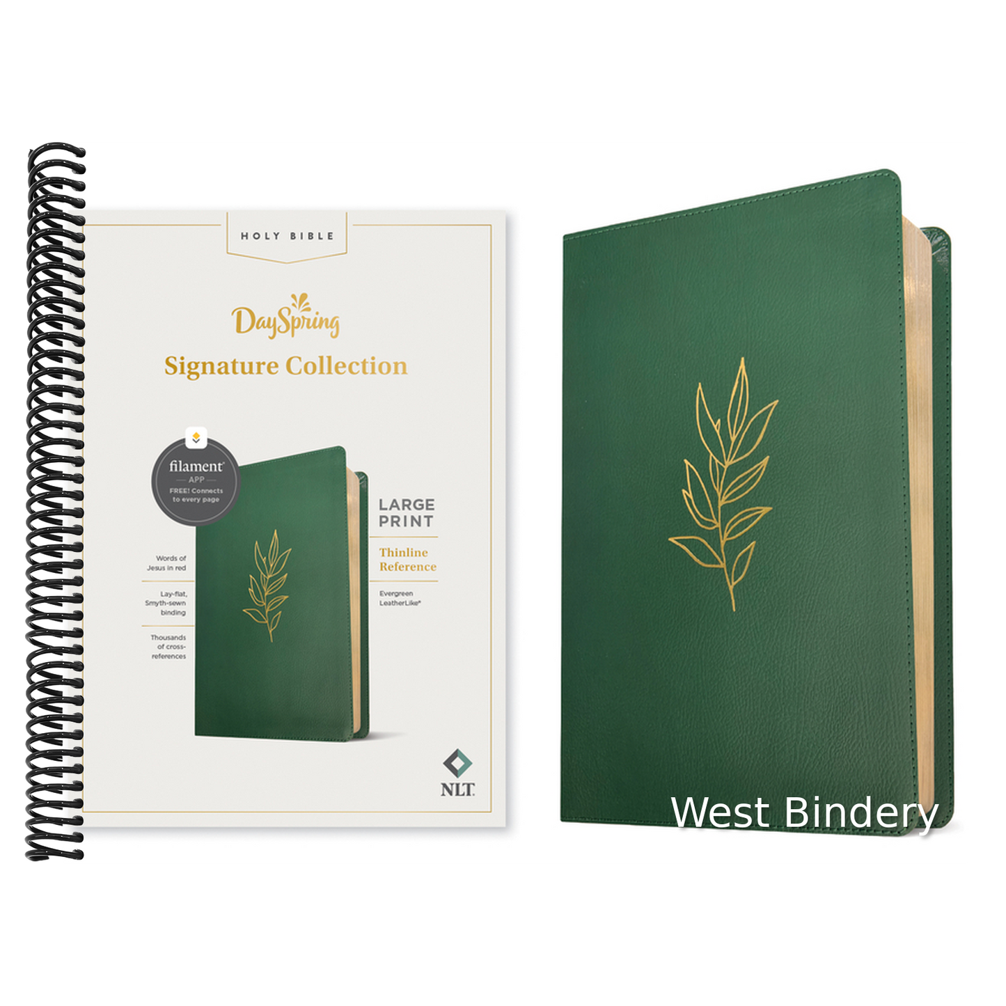 NLT Large Print Thinline Reference Bible, Dayspring Signature Collection, Filament Enabled (Leatherlike, Evergreen, Red Letter)