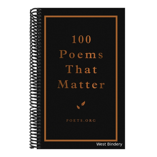 100 Poems That Matter