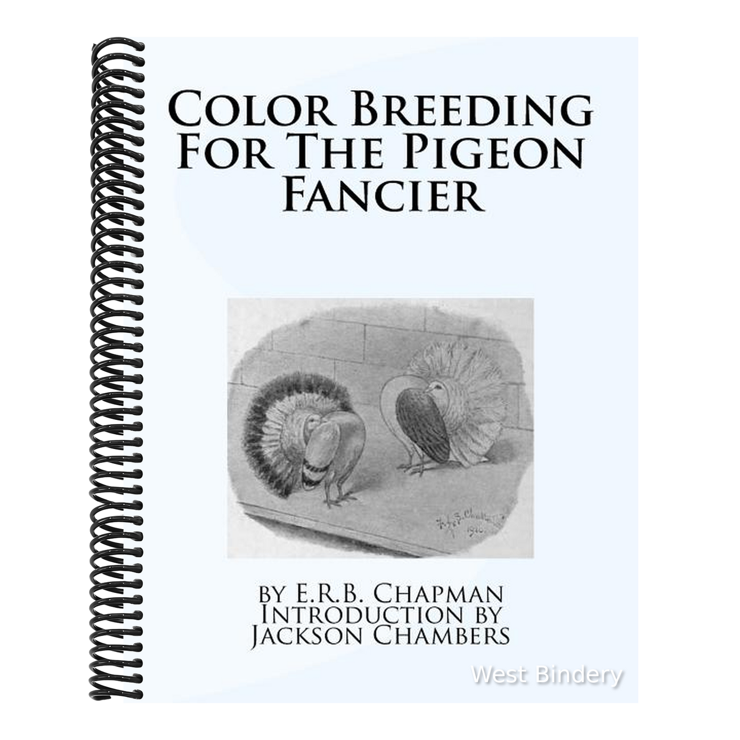 Color Breeding For The Pigeon Fancier