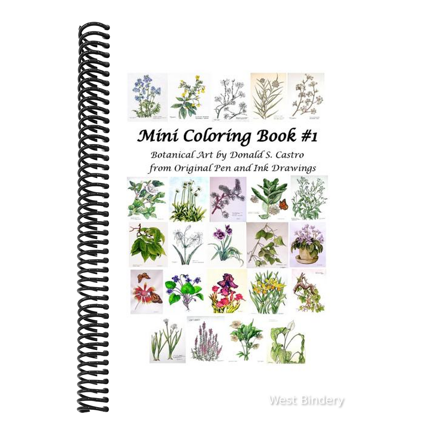 Mini Botanical Art Coloring Book: Pen & Ink Drawings