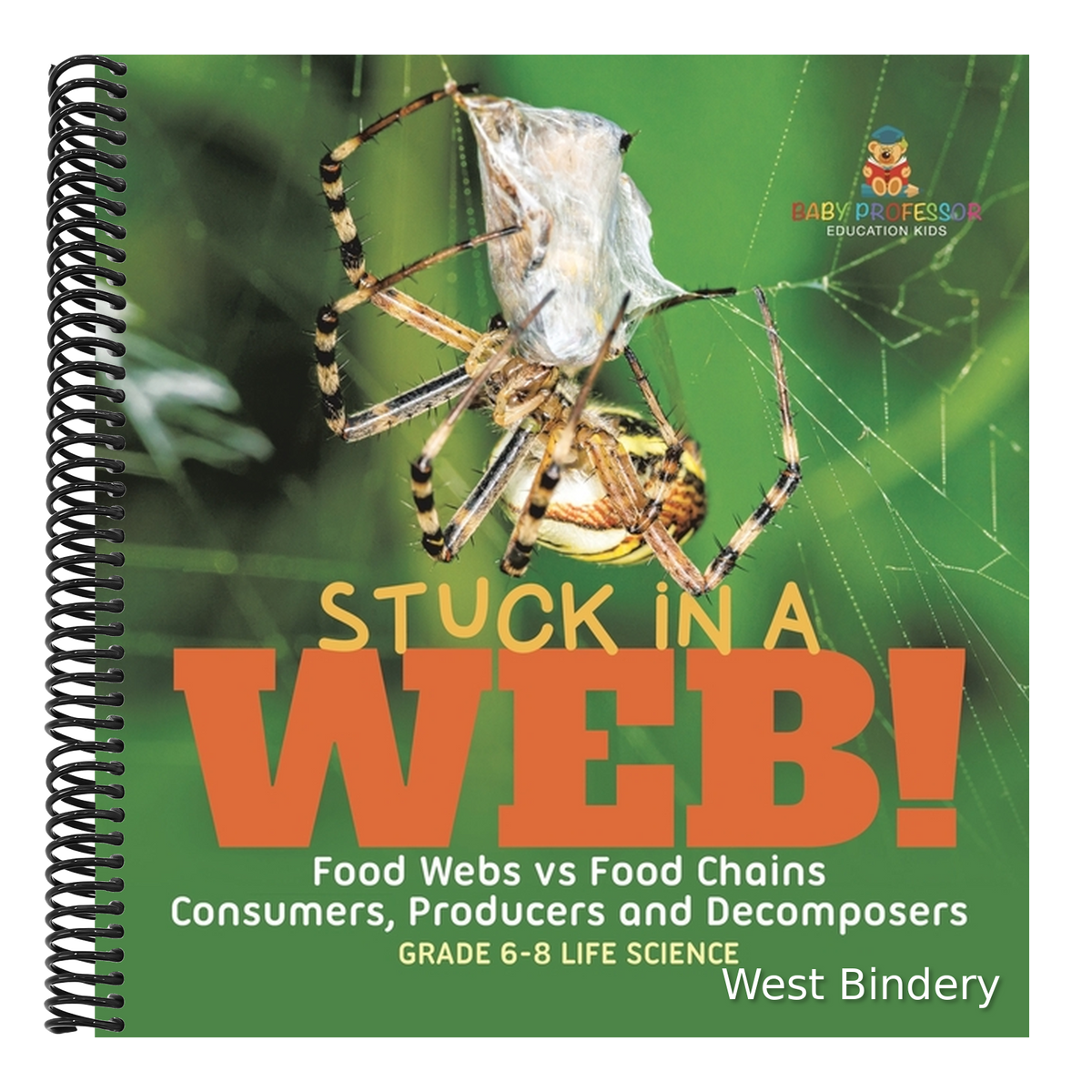 Stuck in a Web! Food Webs vs Food Chains Consumers, Producers and Decomposers Grade 6-8 Life Science