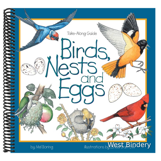 Birds, Nests & Eggs
