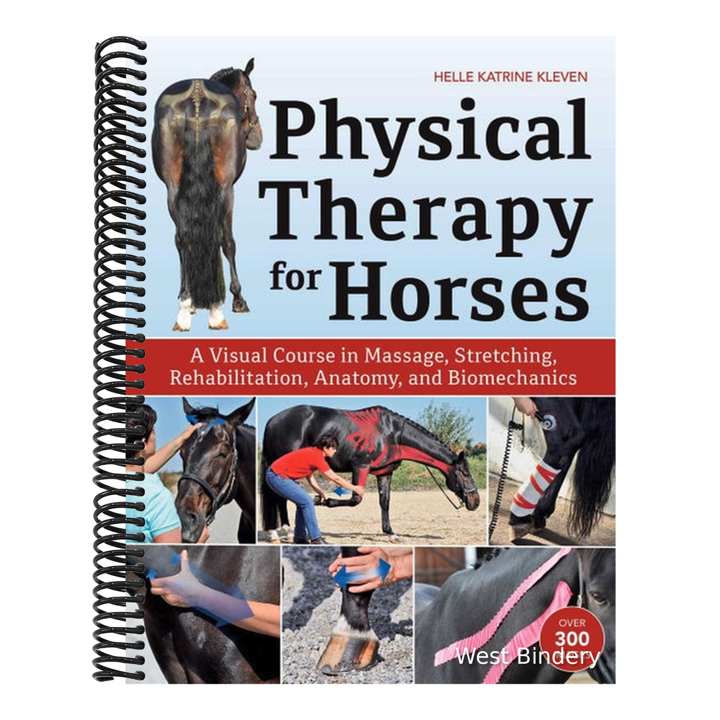 Physical Therapy for Horses