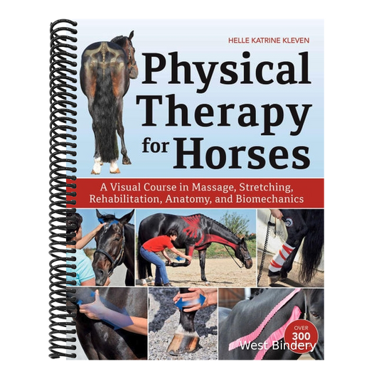 Physical Therapy for Horses