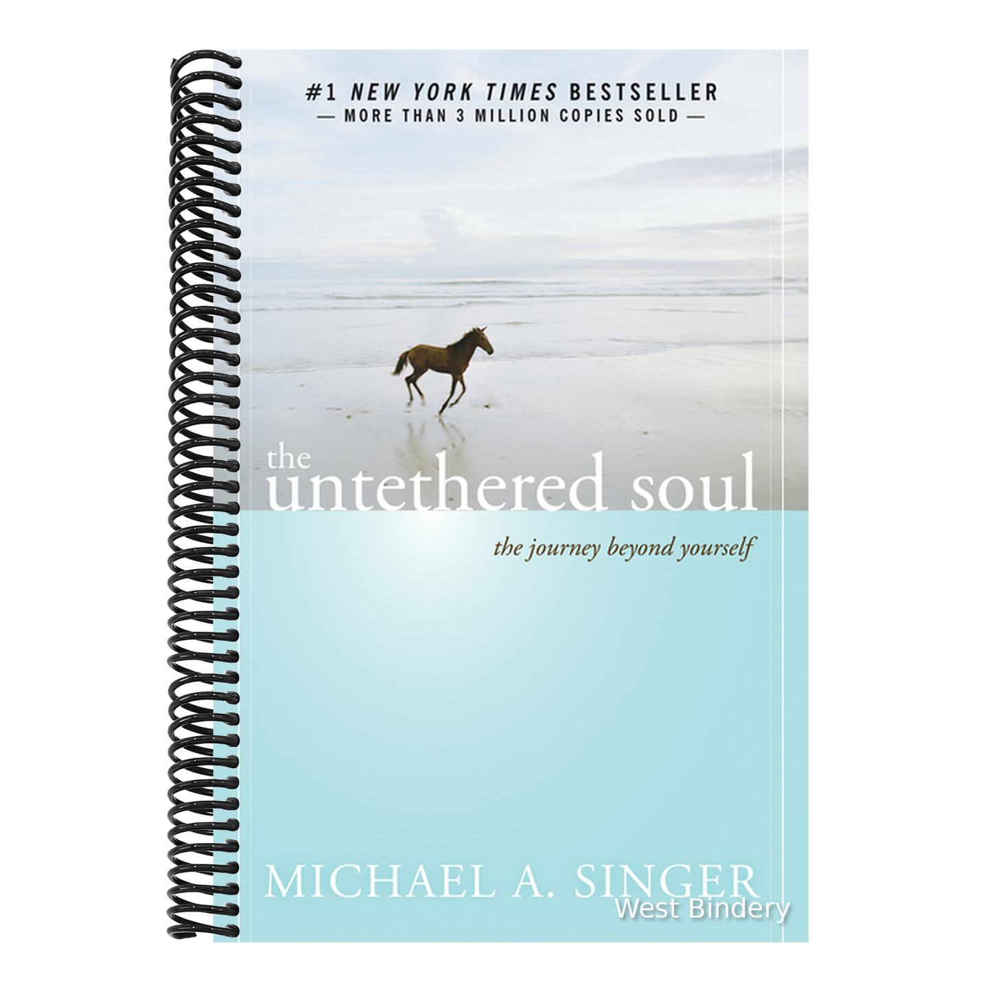 The Untethered Soul: The Journey Beyond Yourself