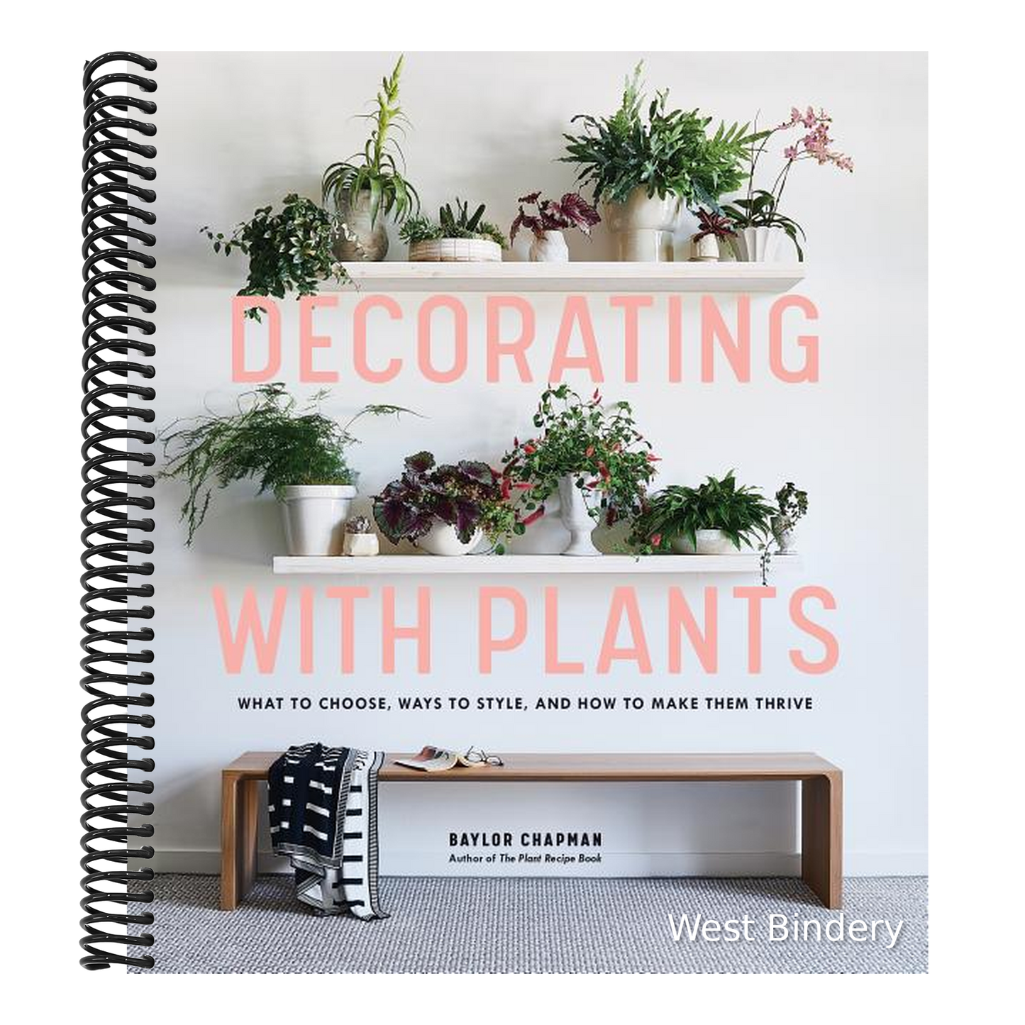 Decorating with Plants: What to Choose, Ways to Style, and How to Make Them Thrive