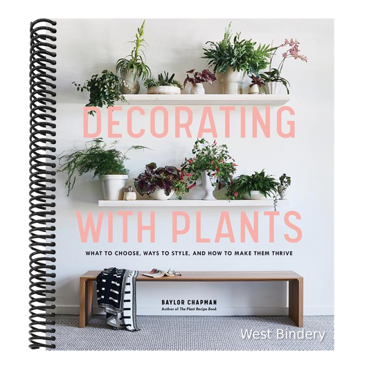 Decorating with Plants: What to Choose, Ways to Style, and How to Make Them Thrive