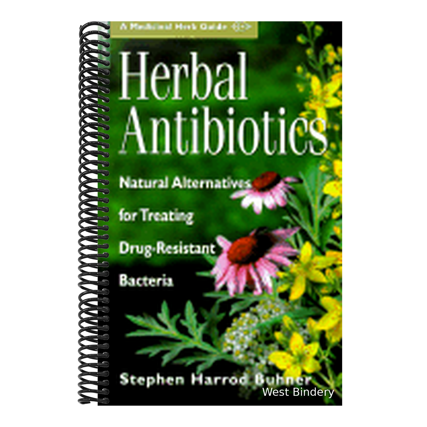 Herbal Antibiotics: Natural Alternatives for Treating Drug-Resistant Bacteria