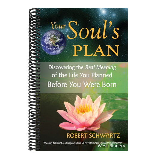 Your Soul's Plan: Discovering the Real Meaning of the Life You Planned Before You Were Born