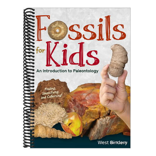 Fossils for Kids: An Introduction to Paleontology