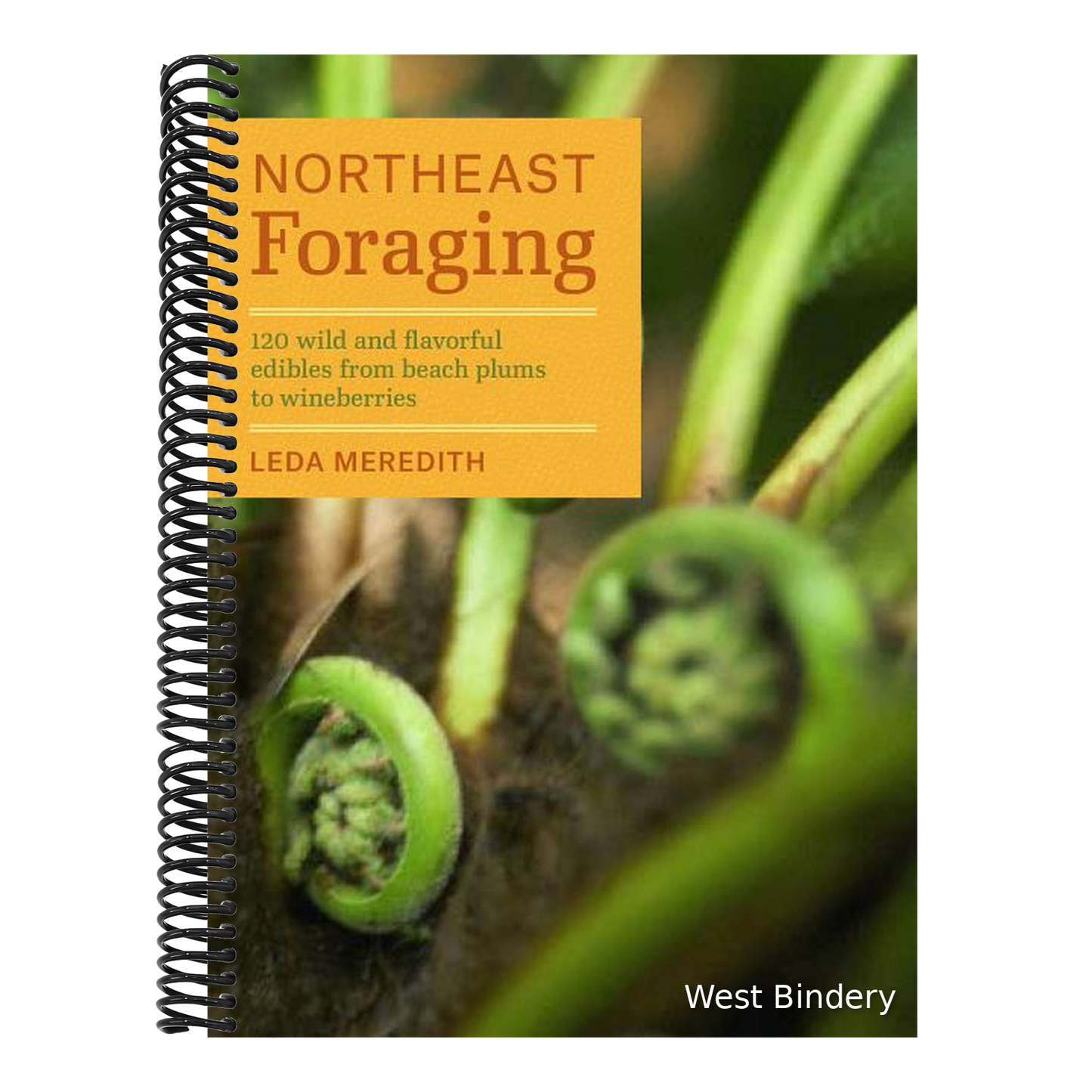 Northeast Foraging: 120 Wild and Flavorful Edibles from Beach Plums to Wineberries