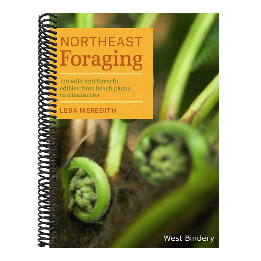 Northeast Foraging: 120 Wild and Flavorful Edibles from Beach Plums to Wineberries