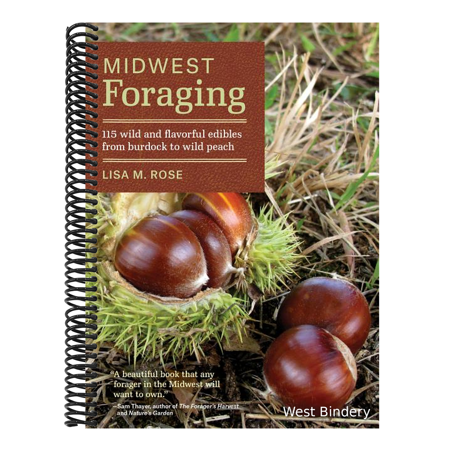 Midwest Foraging: 115 Wild and Flavorful Edibles from Burdock to Wild Peach