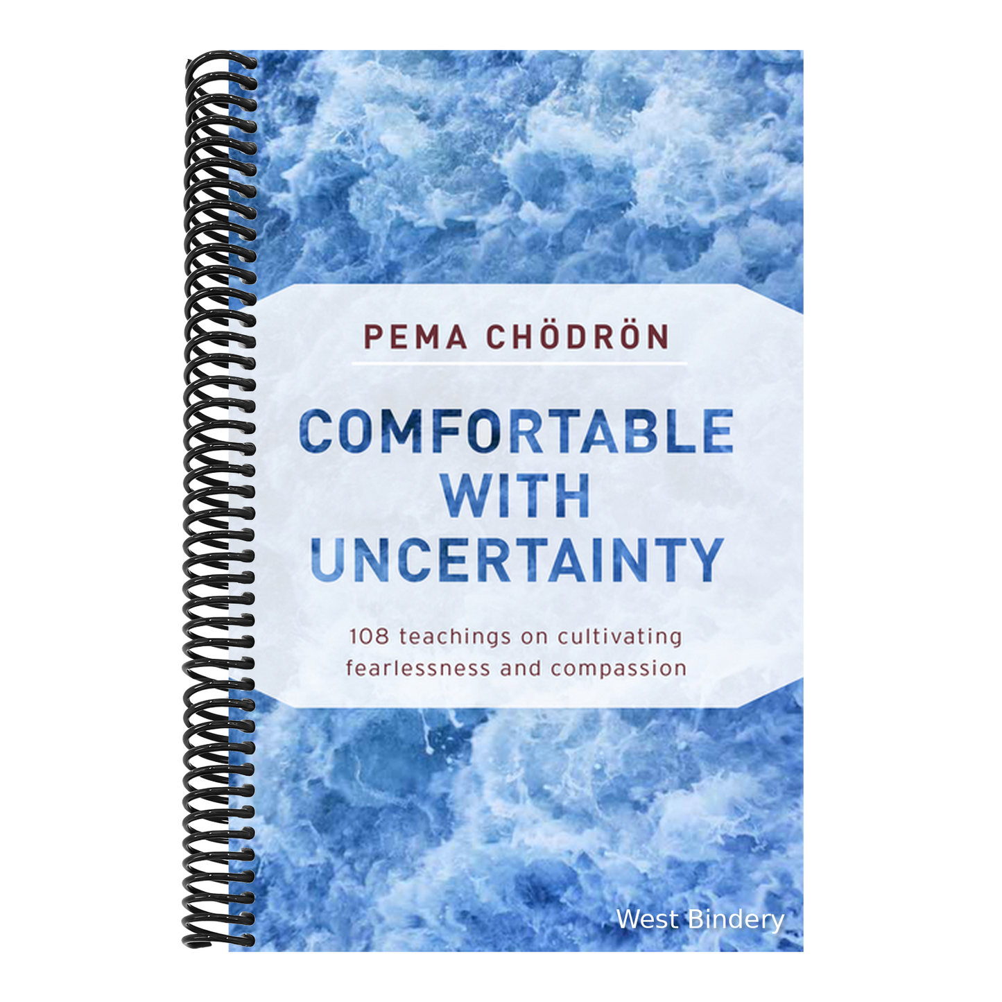 Comfortable with Uncertainty: 108 Teachings on Cultivating Fearlessness and Compassion
