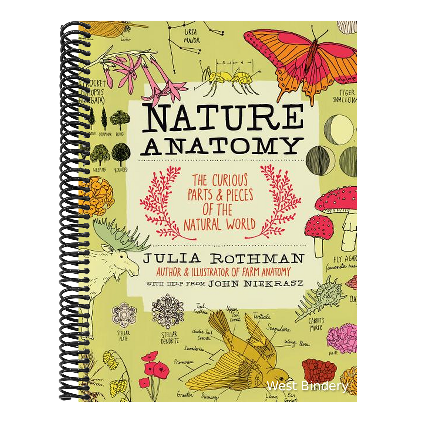Nature Anatomy: The Curious Parts and Pieces of the Natural World