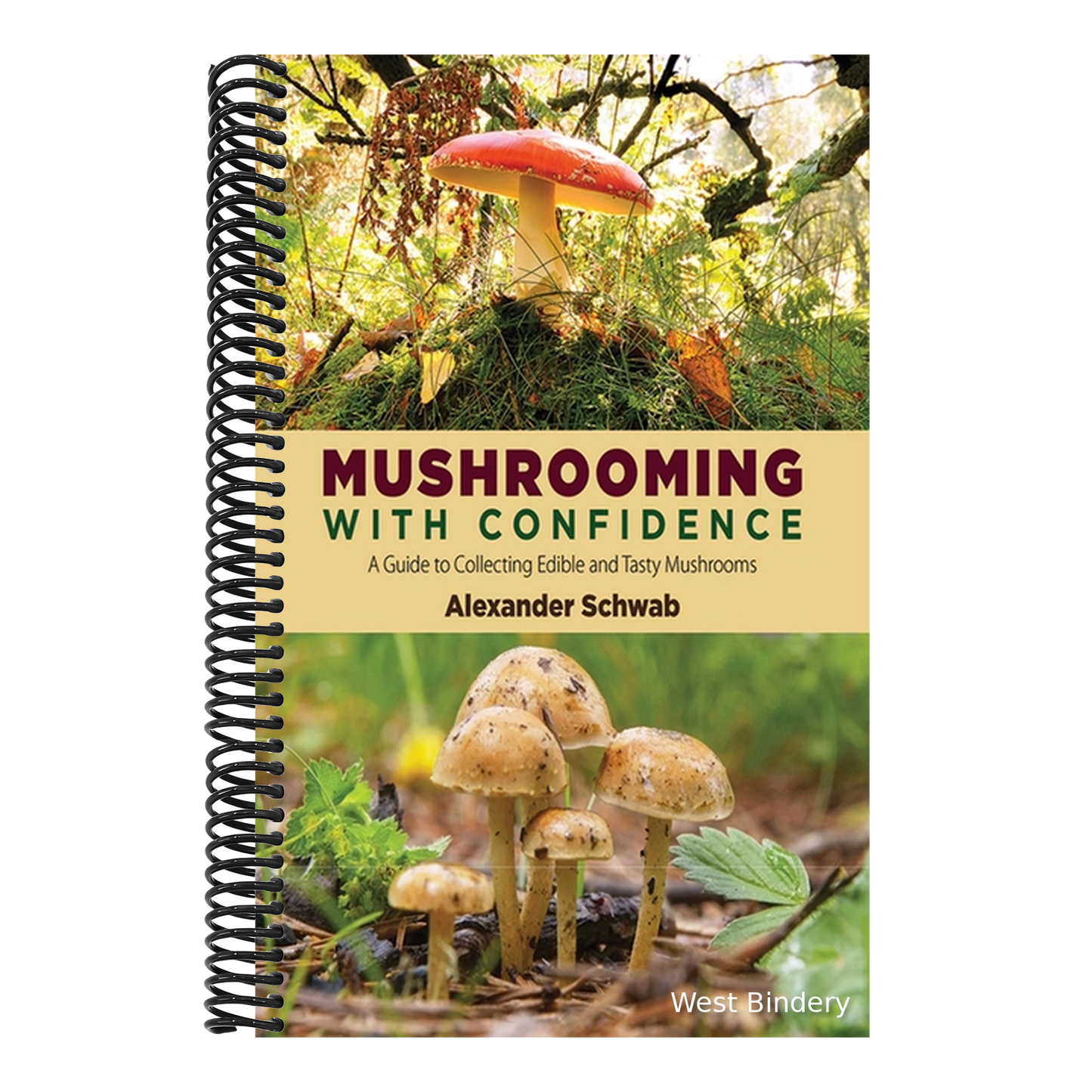 Mushrooming with Confidence: A Guide to Collecting Edible and Tasty Mushrooms