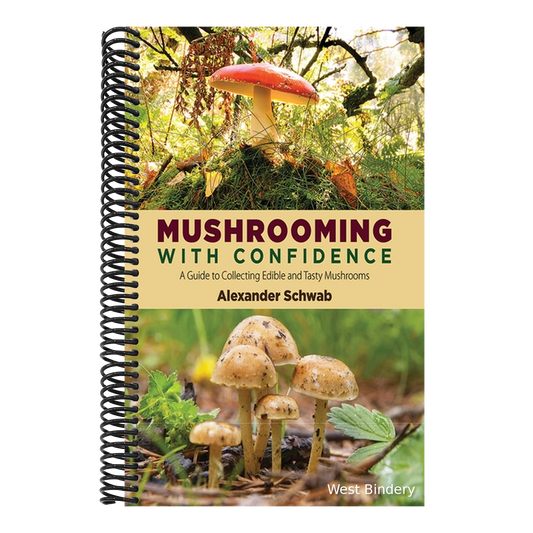 Mushrooming with Confidence: A Guide to Collecting Edible and Tasty Mushrooms