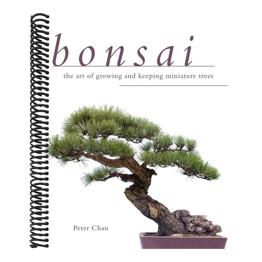 Bonsai: The Art of Growing and Keeping Miniature Trees (Spiral Bound)