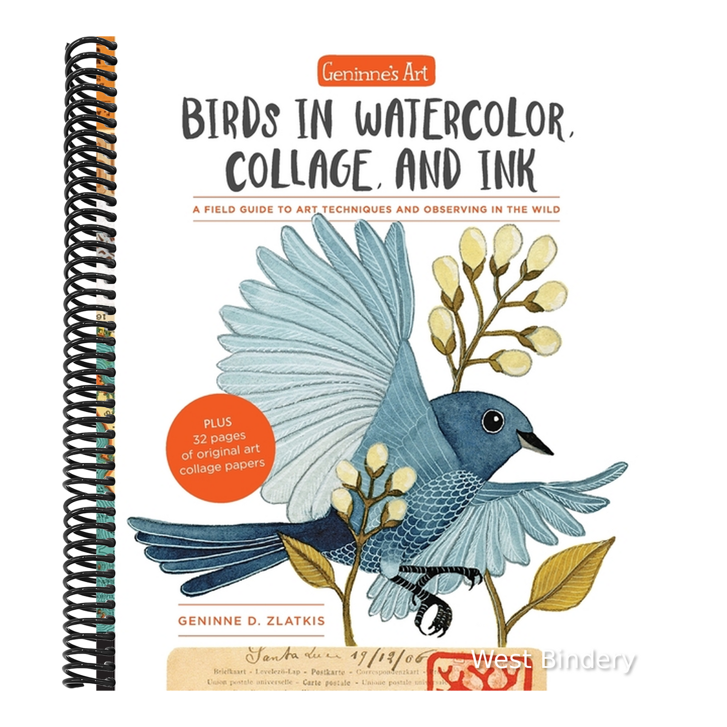 Geninne's Art: Birds in Watercolor, Collage, and Ink: A Field Guide to Art Techniques and Observing in the Wild