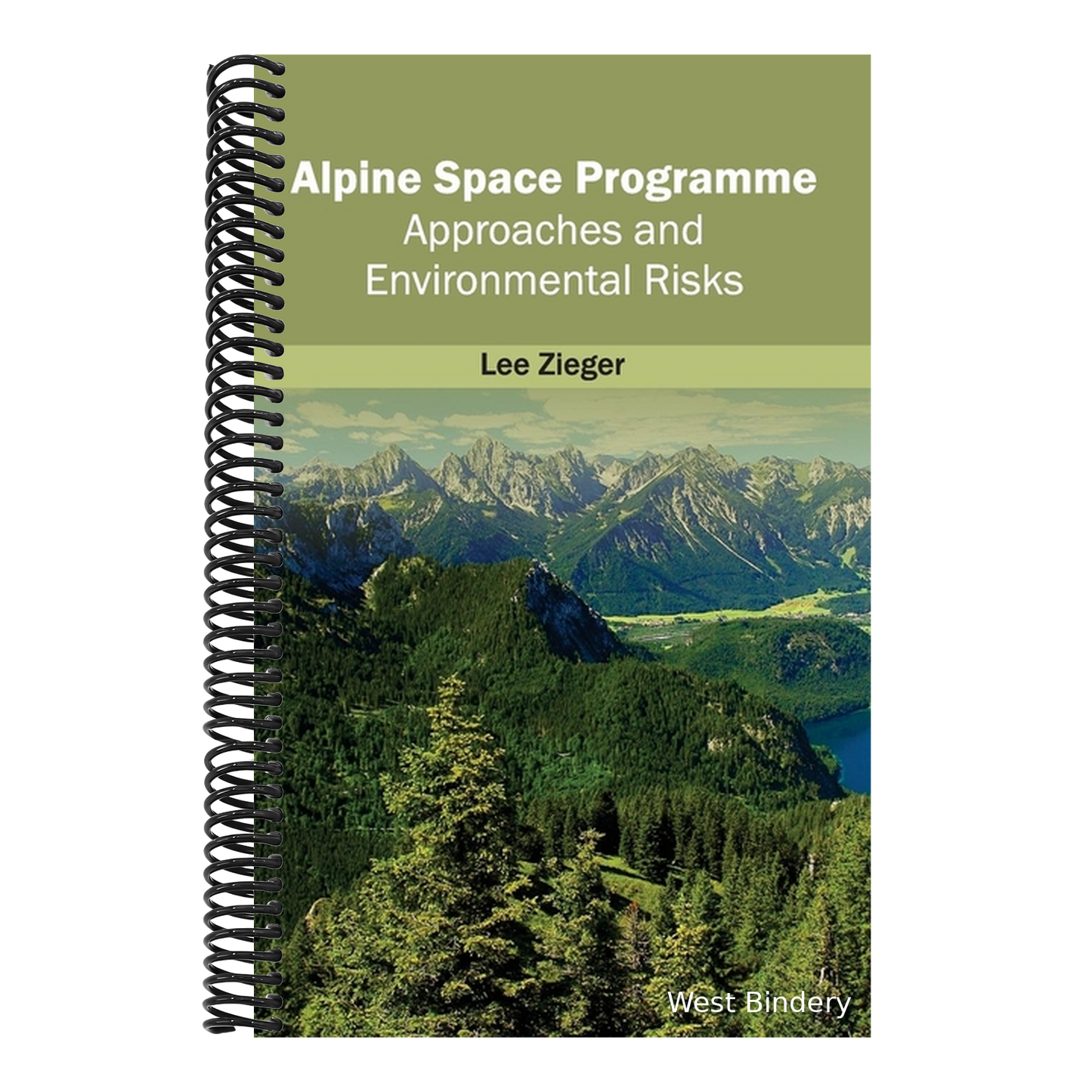 Alpine Space Programme: Approaches and Environmental Risks