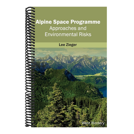 Alpine Space Programme: Approaches and Environmental Risks